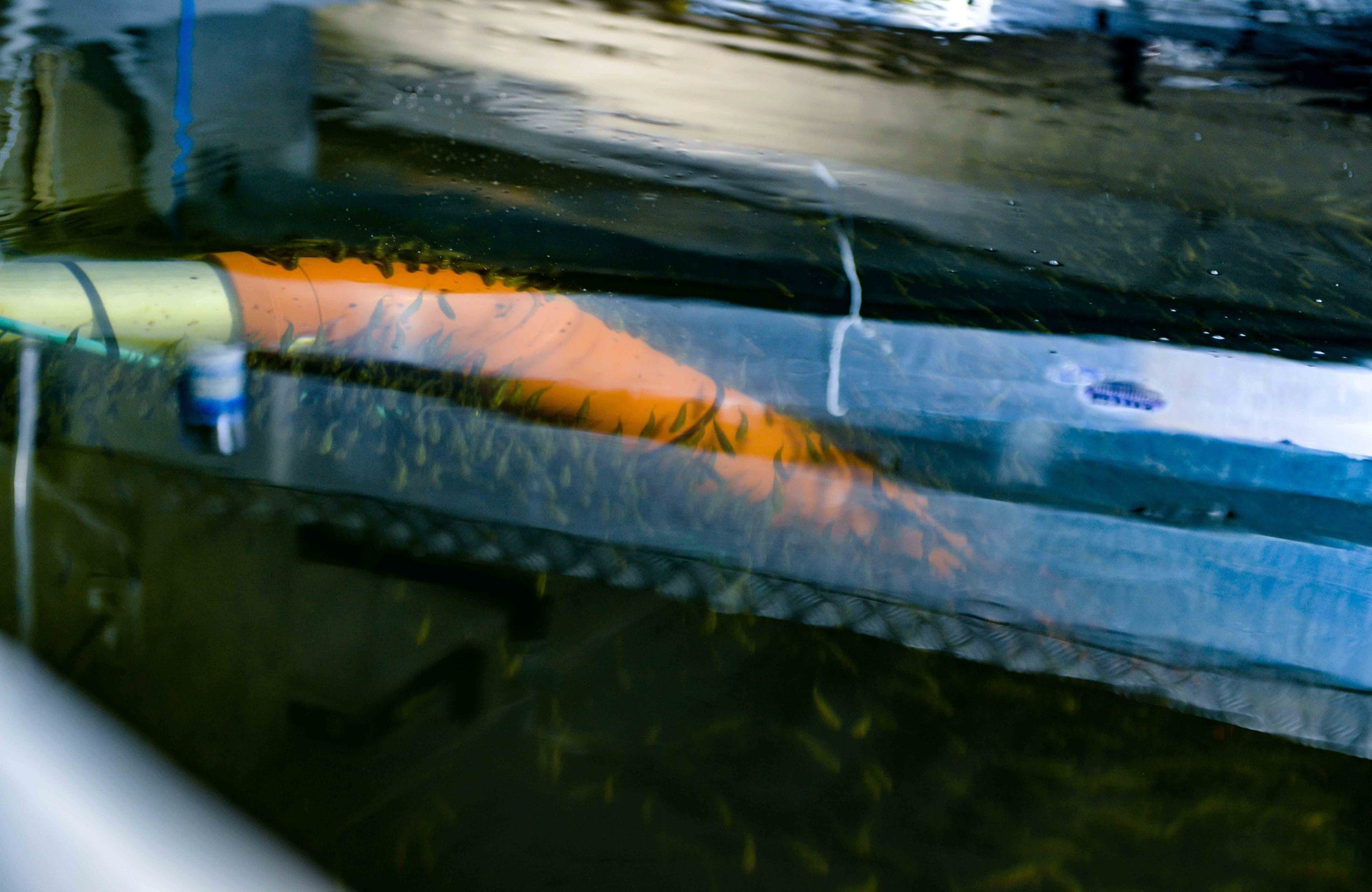 Underwater view with bubbles and light