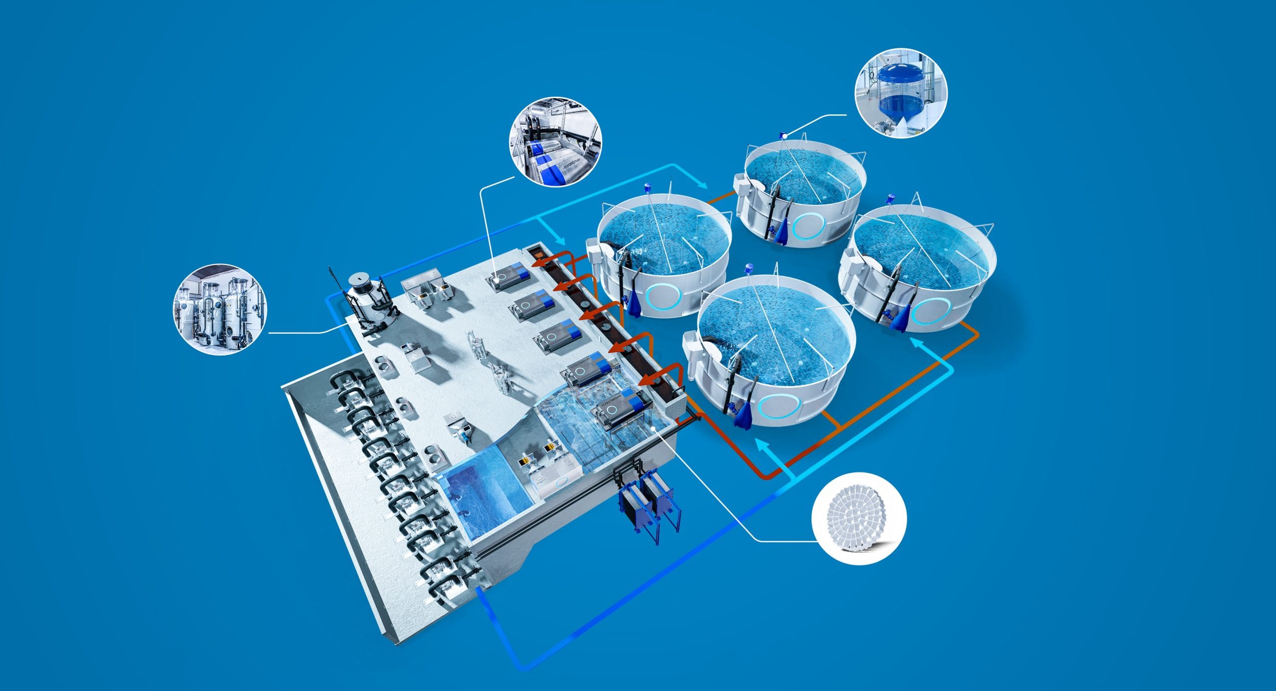 RAS system diagram showing water treatment and fish tanks
