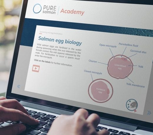 Pure Salmon Academy digital opplæring